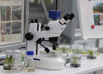 Stuzenegger: Es hora de