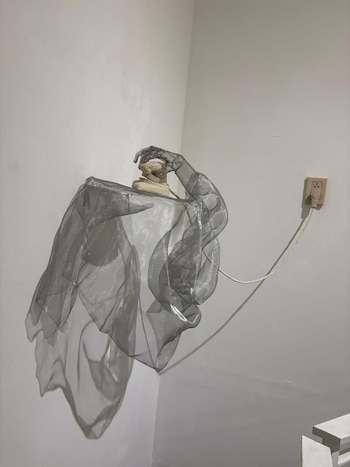 Maxi Venturini - Sergio Lamanna - galería Cecilia Caballero