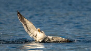 En la serie "Costas", Juan