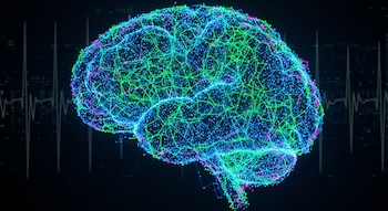 El nuevo estudio de la