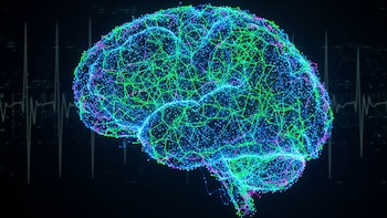 La inteligencia no está en