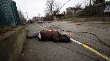 The President of the European