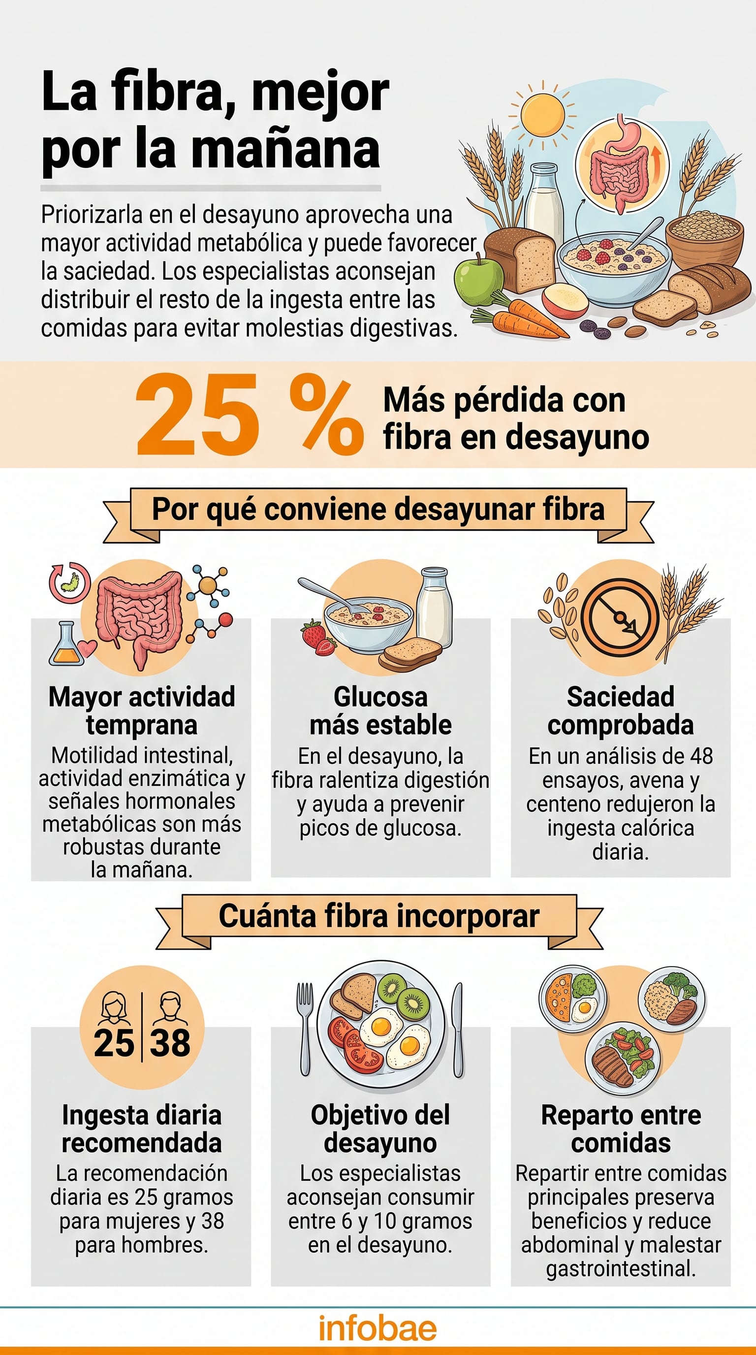 Una infografía de Infobae explica las razones fisiológicas y las cantidades recomendadas para consumir fibra en el desayuno (Imagen Ilustrativa Infobae)