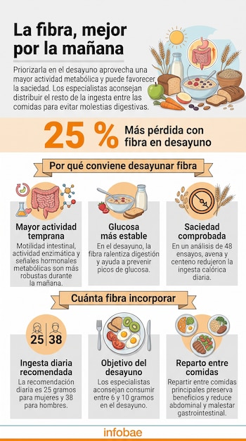 Infografía con diagramas del sistema digestivo, platos con alimentos, cuencos de cereal, frutas y textos informativos.