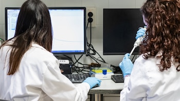 Bruselas abre una consulta pública