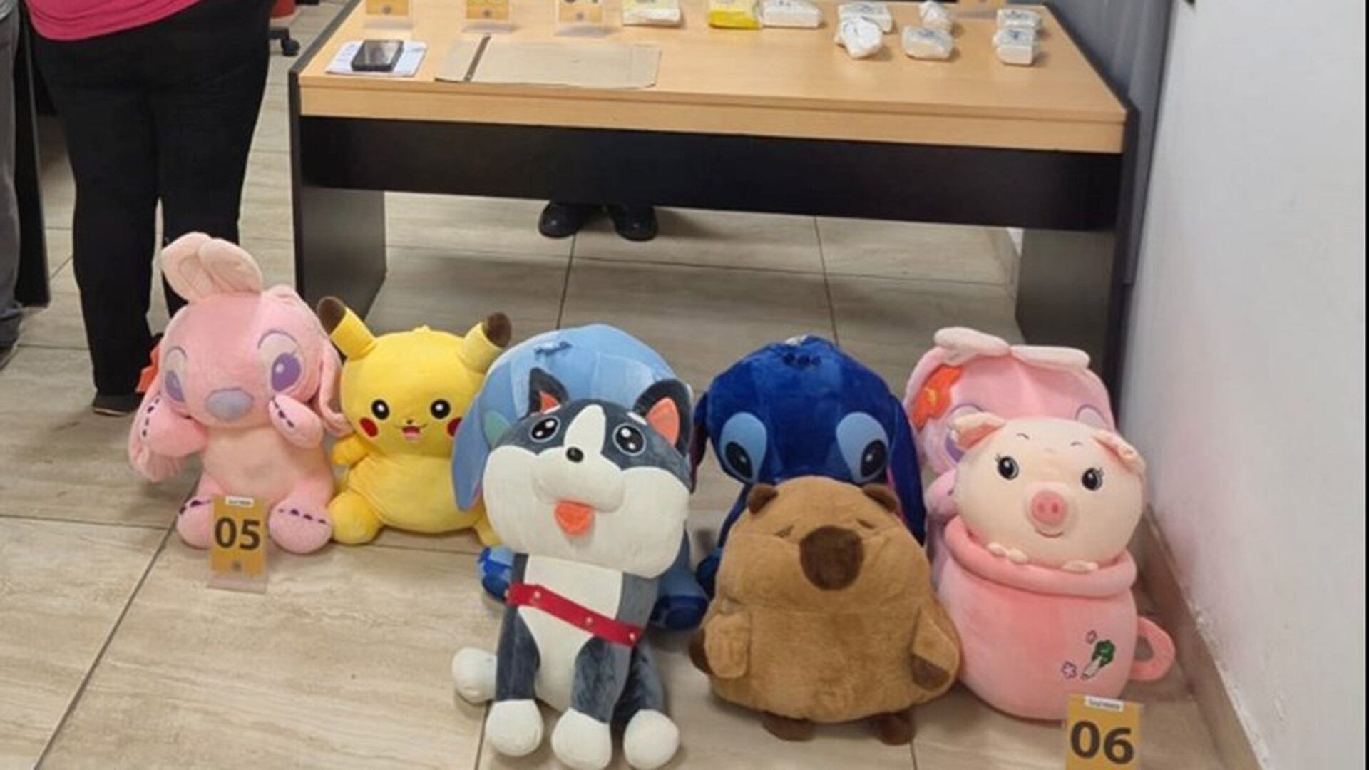 Todos los peluches fueron puestos a disposición de la Justicia