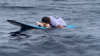 El último abrazo sobre las olas: La desgarradora despedida de un surfista costarricense a su perro en el mar