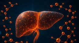 El consumo excesivo de alcohol impide la regeneración completa del hígado, aun cuando se detiene la ingesta