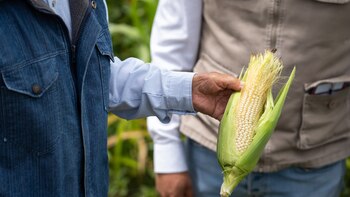 Producción para el Bienestar 2024: