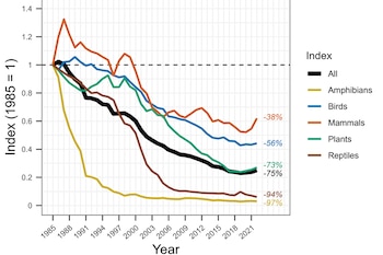 El estudio, que reúne datos