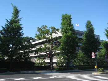Bibliotecas más grandes del Mundo