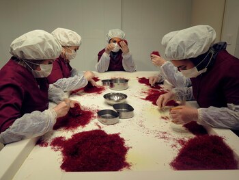 Varias trabajadoras de la empresa