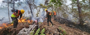 l costo operativo de la lucha contra el incendio en Celaque supera 1,2 millones de lempiras en solo cuatro días, según el ICF.