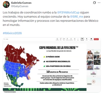 La representante ante la FIFA,