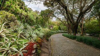 (http://sitiorobertoburlemarx.org.br/)