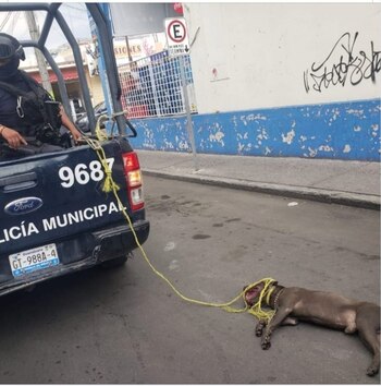 Hace poco se viralizó un