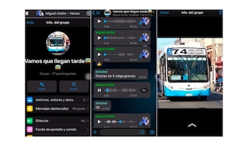 El grupo de WhatsApp que