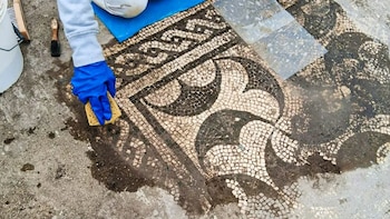 Tras una excavación clandestina, sale a la luz una villa imperial romana