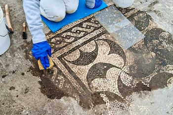 Tras una excavación clandestina, sale a la luz una villa imperial romana Tras una excavación clandestina, sale a la luz una villa imperial romana
