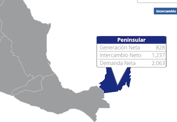 (Captura de pantalla CENACE/Demanda del