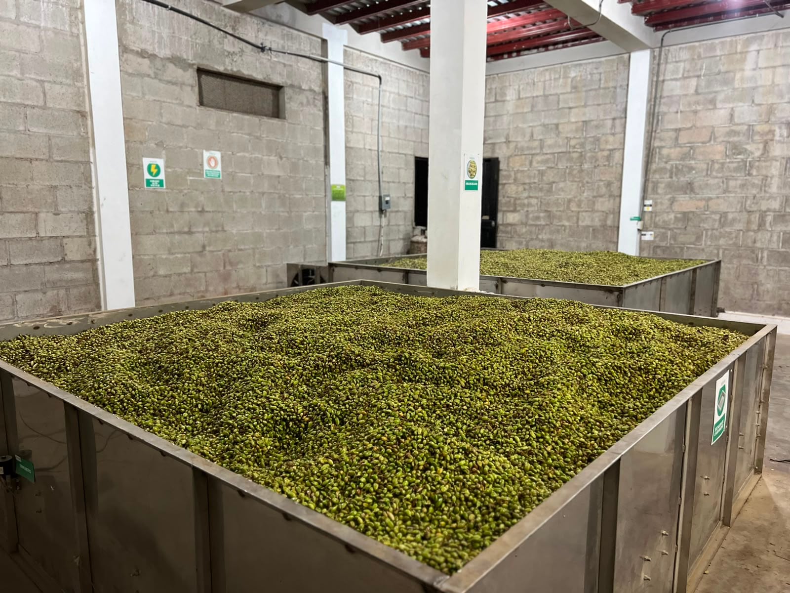 El precio del quintal de cardamomo se ubica en 21.000 lempiras, cifra que representa un valor bruto cercano a los 63,3 millones de dólares.