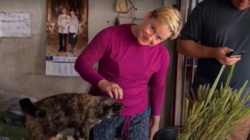 Mujer de cabello rubio con camiseta fucsia acaricia a un gato atigrado. Hombre con teléfono, calendario y plantas verdes en un interior
