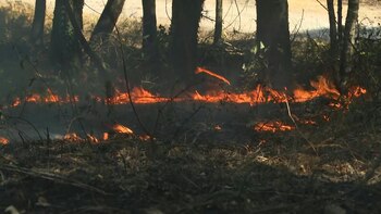 Un nuevo incendio se presentó