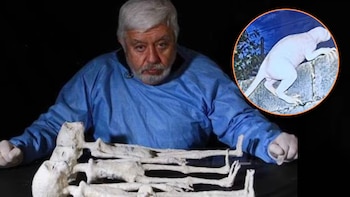 ¿Encontraron al “chupacabras”? Famoso investigador de ovnis alega el hallazgo en la frontera entre Estados Unidos y México