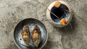 Central Restaurante: descubre los exóticos