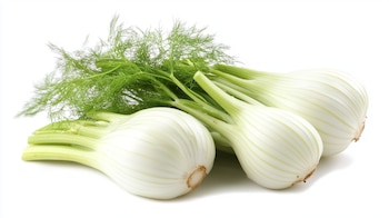 La planta de hinojo es