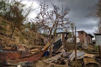 Un árbol frutal quemado se