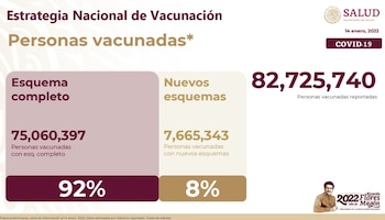 Avance de la Estrategia Nacional de Vacunación (Foto: SSa)
