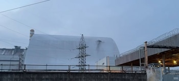 El futuro de la planta