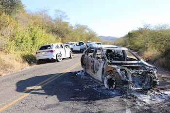 Ovidio Guzmán fue aprehendido en
