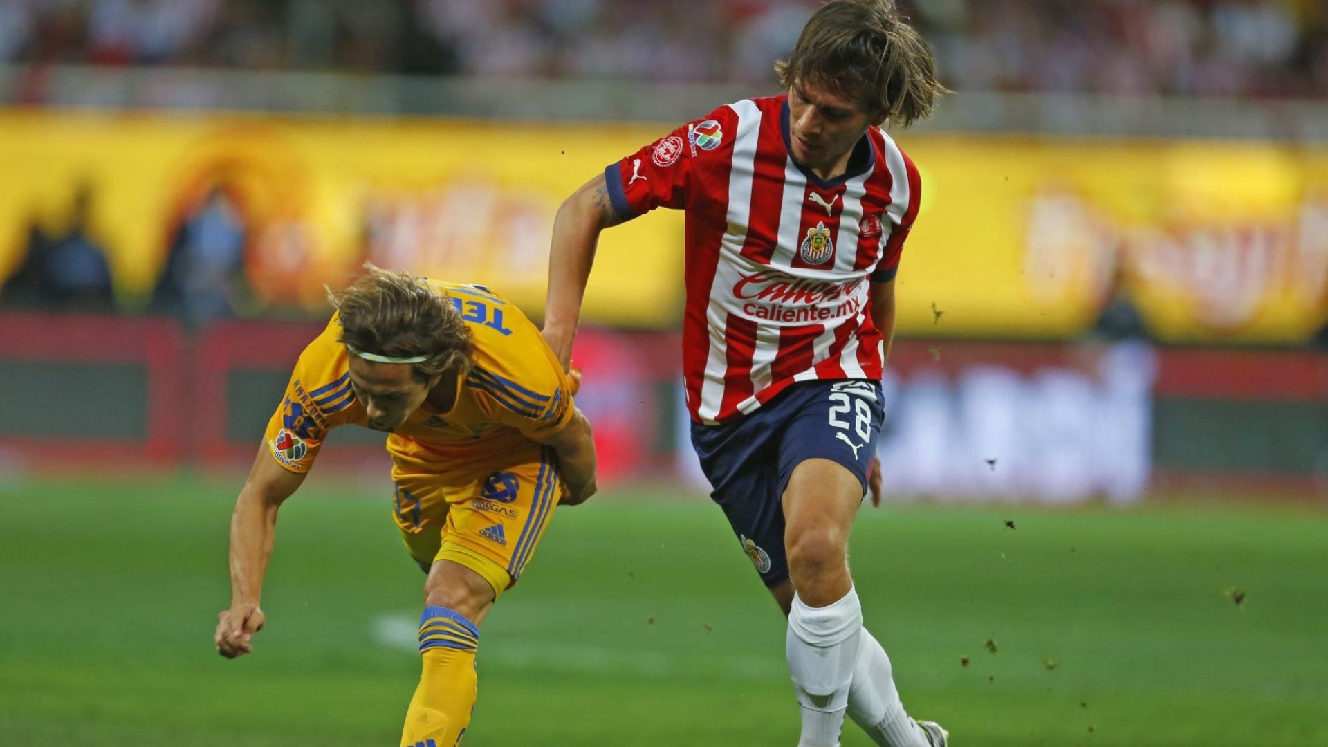 Chivas buscará una victoria cuándo enfrente a los Tigres este miércoles 17 de septiembre. (Cuartoscuro)