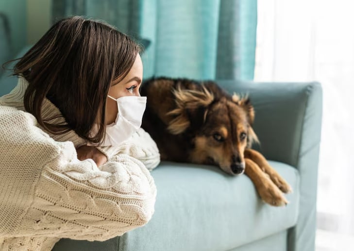 Un estudio de la Universidad de California, Davis, señaló que solo alrededor del 9% de los perros estaba enfermo antes de comer pasto (Freepik)
