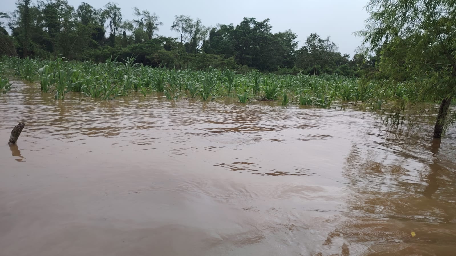 Honduras: inundaciones obligan a evacuar familias y comunidades en Gracias a Dios