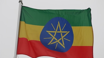 La OMS pide una investigación