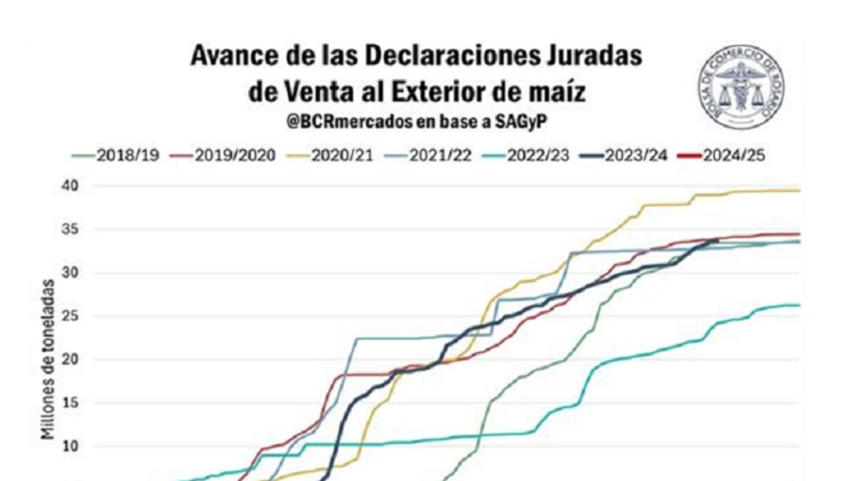 La evolución de las declaraciones de ventas al exterior de maíz para despachar a partir de marzo del próximo año muestra el avance más lento desde la campaña 2018/19 (BCR)