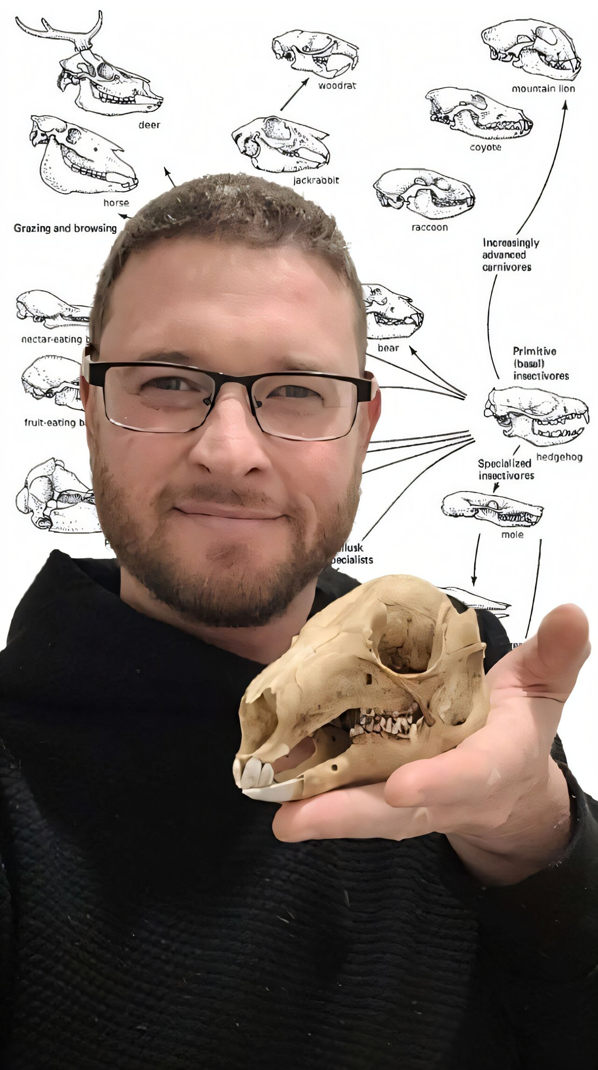 La investigación sobre placodermos analizó ocho especies del Devónico mediante simulaciones informáticas y modelos tridimensionales de mandíbulas fósiles (Universidad de Flinders)