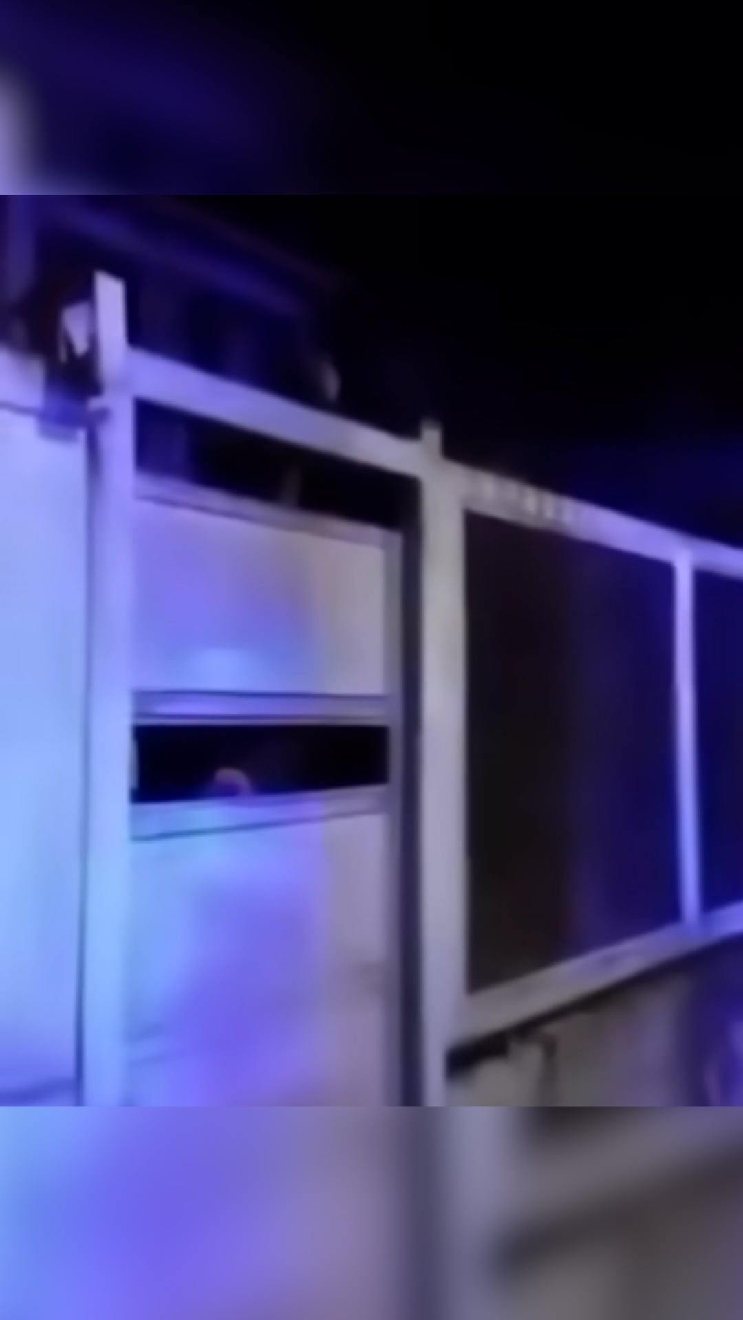 El delincuente no pudo superar el portón perimetral de la vivienda.