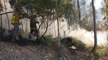 Protección Civil descartó riesgo para