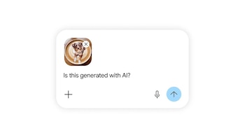 Imagen EST7EDQO4RBTVOEXGLI4PDDDN4