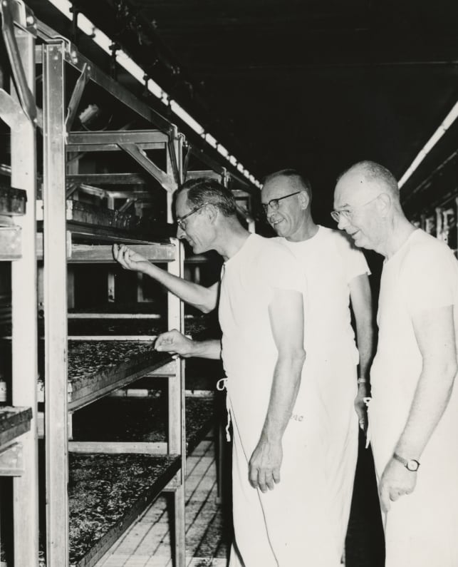 El científico texano dedicó su carrera a buscar soluciones innovadoras para el control de plagas, marcando un antes y un después en la sanidad animal (USDA/National Agricultural Library)
