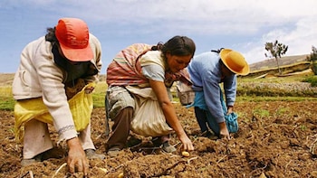 Beneficiarios de la deuda agraria: ¿A quiénes les corresponde exigir el pago al Estado?