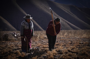 Las guardianas del agua: Olga e Inocenta, líderes en la comunidad Kolla de Colanzulí, en la puna salteña, a más de 4.000 metros de altura