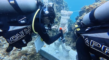 Dos buzos con equipo de buceo instalan una estructura blanca de arrecife de coral artificial en el lecho marino junto a formaciones rocosas naturales