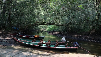 Un oasis de tranquilidad rodeado