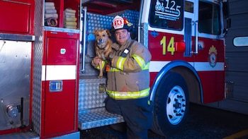 Los bomberos de Breña despidieron a Spartan, el perro que acompañó sus emergencias| Foto: Piel de Algodón · Fotografía Newborn (Facebook)
