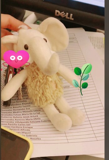 El peluche con el que presuntamente fue hallada. (Captura de pantalla).
